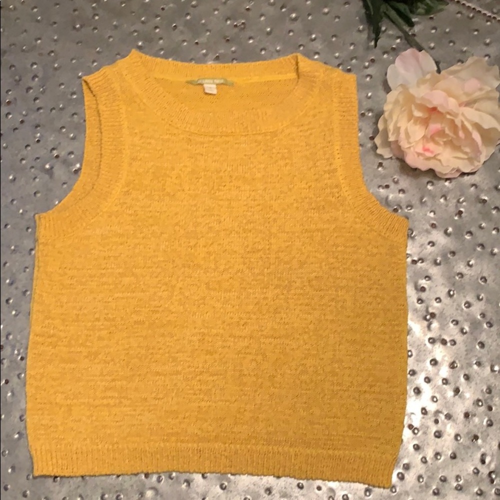 Gianni Bini Cropper Sweater Vest